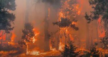 مصر - حرائق الغابات تتواصل جنوب الأرجنتين وأحدها مستمر منذ شهر