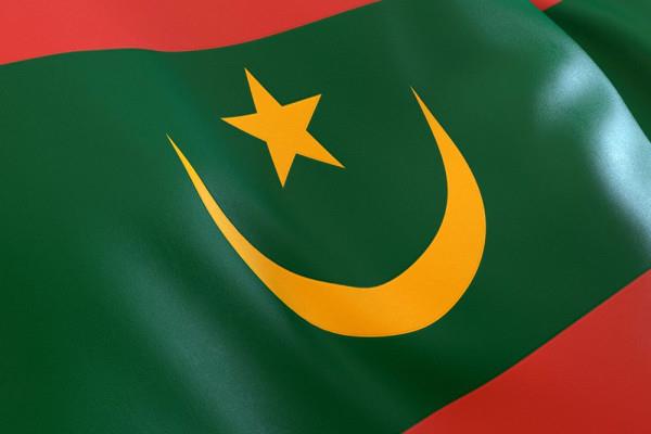 Mauritania strongly condemns attack on civil facilities in UAE