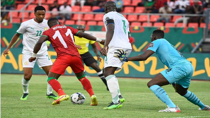 الإمارات - تأهل السنغال وغينيا لدور الـ16 بكأس أمم أفريقيا' 