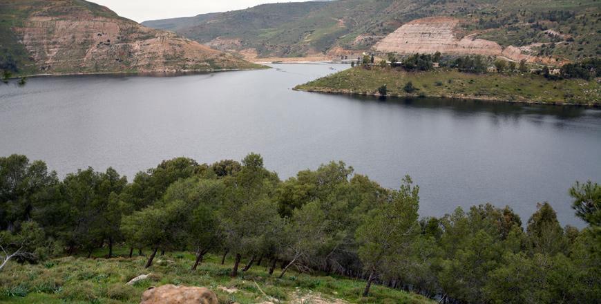 Jordan - Dams now at 28.2% storage capacity after recent rainfall