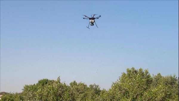 UAE - 35,000 mangrove trees planted in Abu Dhabi using drones