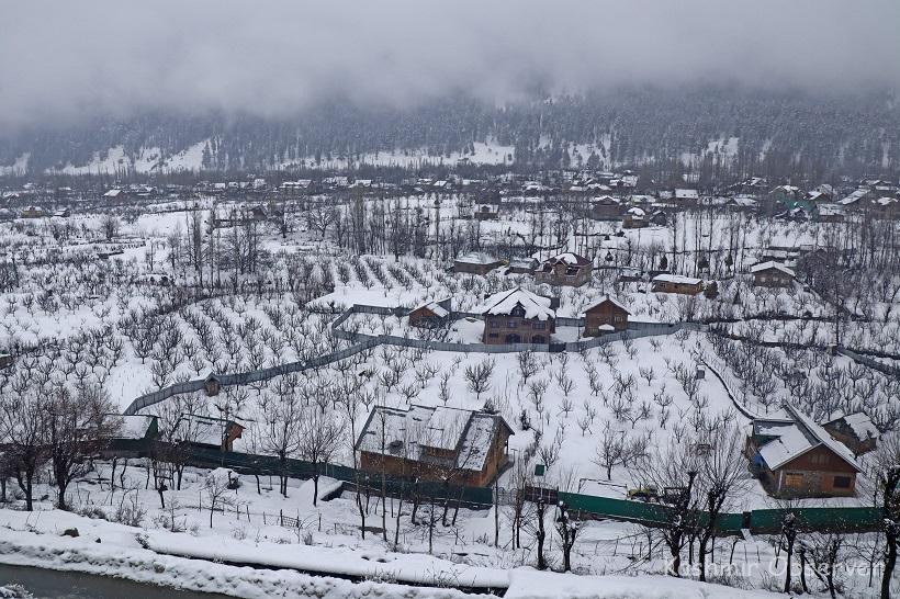 Upper Reaches Of Kashmir Receive Fresh Snowfall