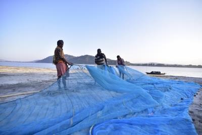  Pirates robbed fishing nets, catch, allege TN fishermen 