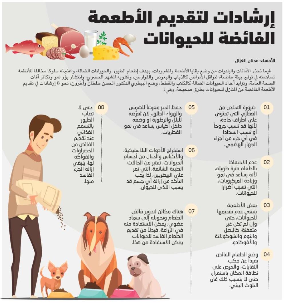 السعودية - إرشادات لتقديم الأطعمة الفائضة للحيوانات
