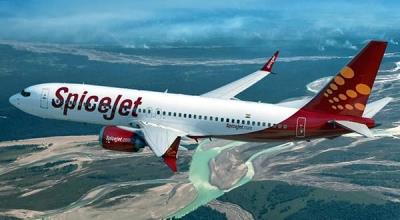  SpiceJet gets breather as SC stays Madras HC's winding up order for 3 weeks 