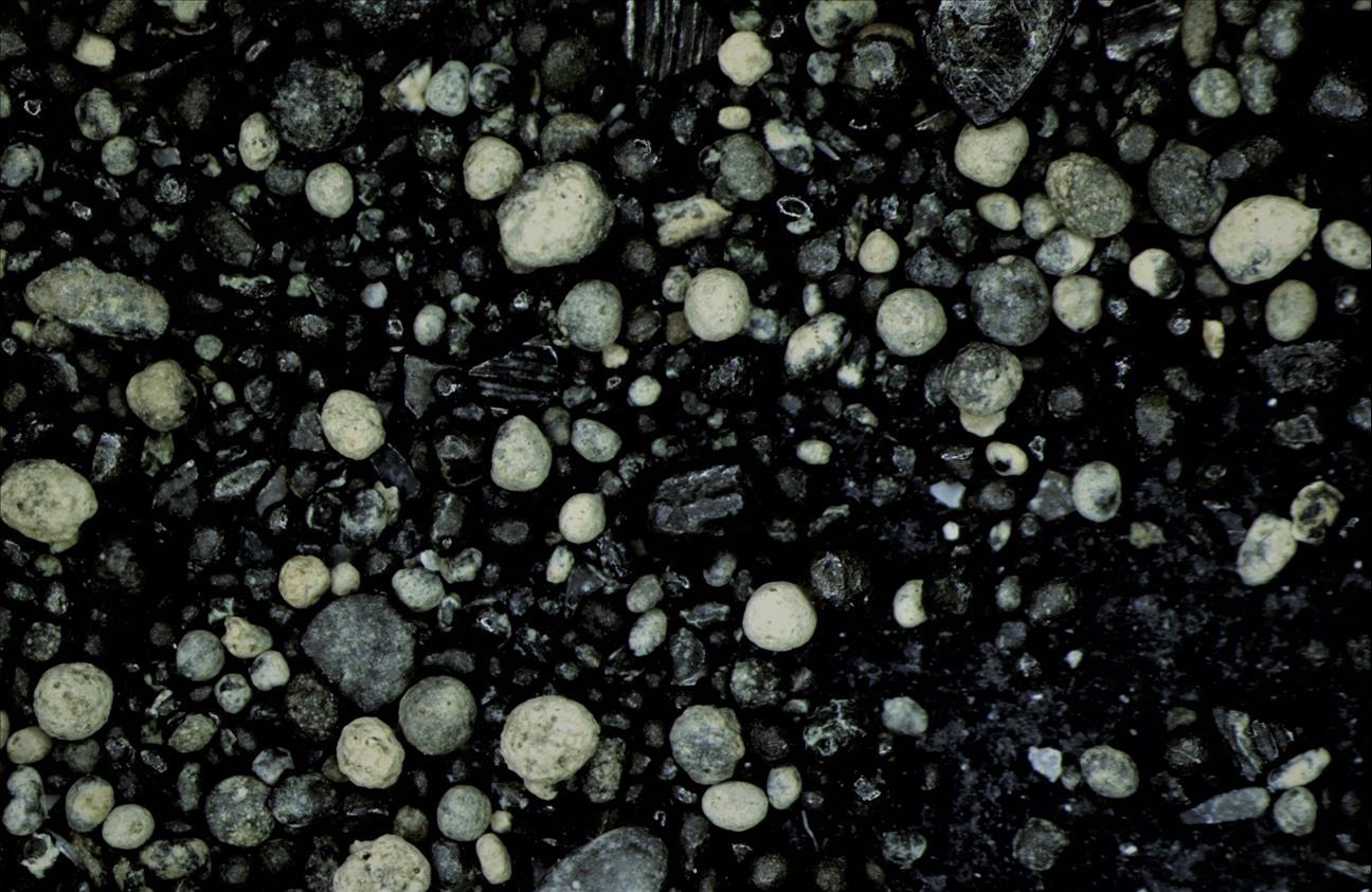 Fosfor Rocks Phosphorites: mineral-rich rocks offer insight into ancient Namibian ...