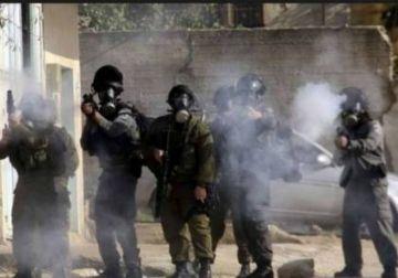 فلسطين - إصابة العشرات بالاختناق بمواجهات مع الاحتلال في مخيم العروب