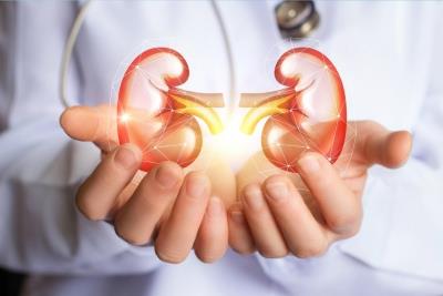 Weight-linked kidney ailments increased since Covid outbreak