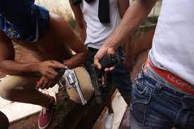 The anatomy of Panama's 159 gangs The anatomy of Panama's 159 gangs