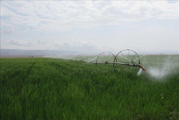Azerbaijan To Test New Russian Agrochemical Product
