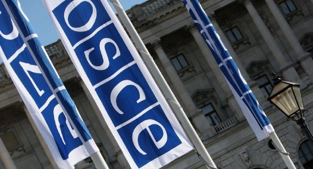 OSCE Aims To Promote Dev't Of Green Ports Project In Turkmenistan (Exclusive)