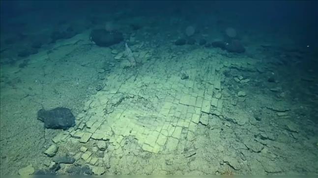 Unique 'Yellow Brick Road' Discovered At The Bottom Of The Pacific Ocean