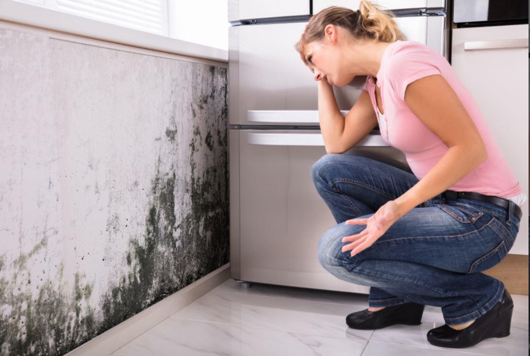 The Hidden Dangers Of Mould In The Home