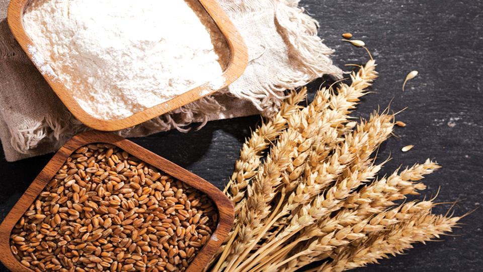India Bans Wheat Exports Effective Immediately