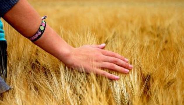 Ukraine, U.S. Talk Partnership To Increase Ukrainian Grain E...