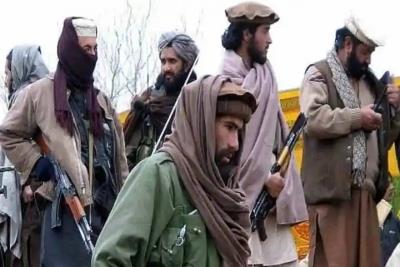 30 Militants Released As Pak-TTP Talks Resume: Sources