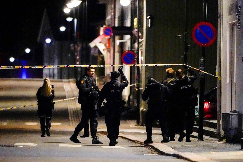 Man Pleads Guilty To Killing Five In Norway Stabbing, Bow-And-Arrow Attacks