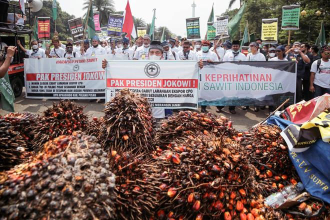 Indonesia To Lift Ban On Palm Oil Exports From Monday