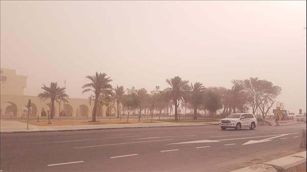 Dust Storm Causes Low Horizontal Visibility    Traffic Authorities Caution Motorists