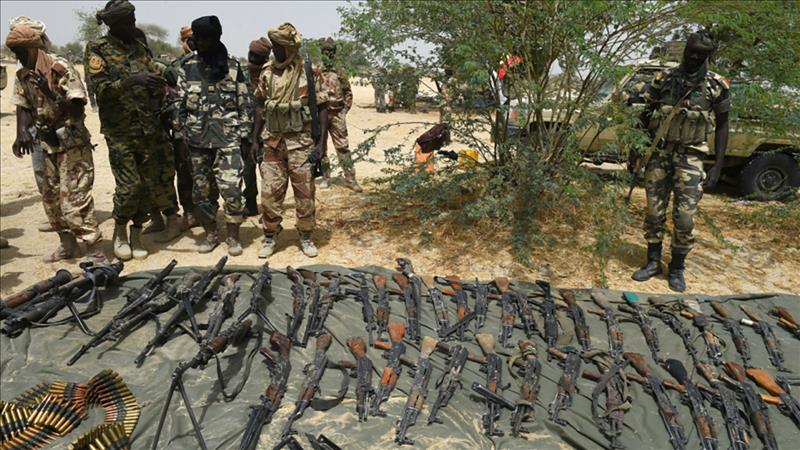 الجيش النيجري يقتل حوالي 40 إرهابياً في جزر ببحيرة تشاد' 