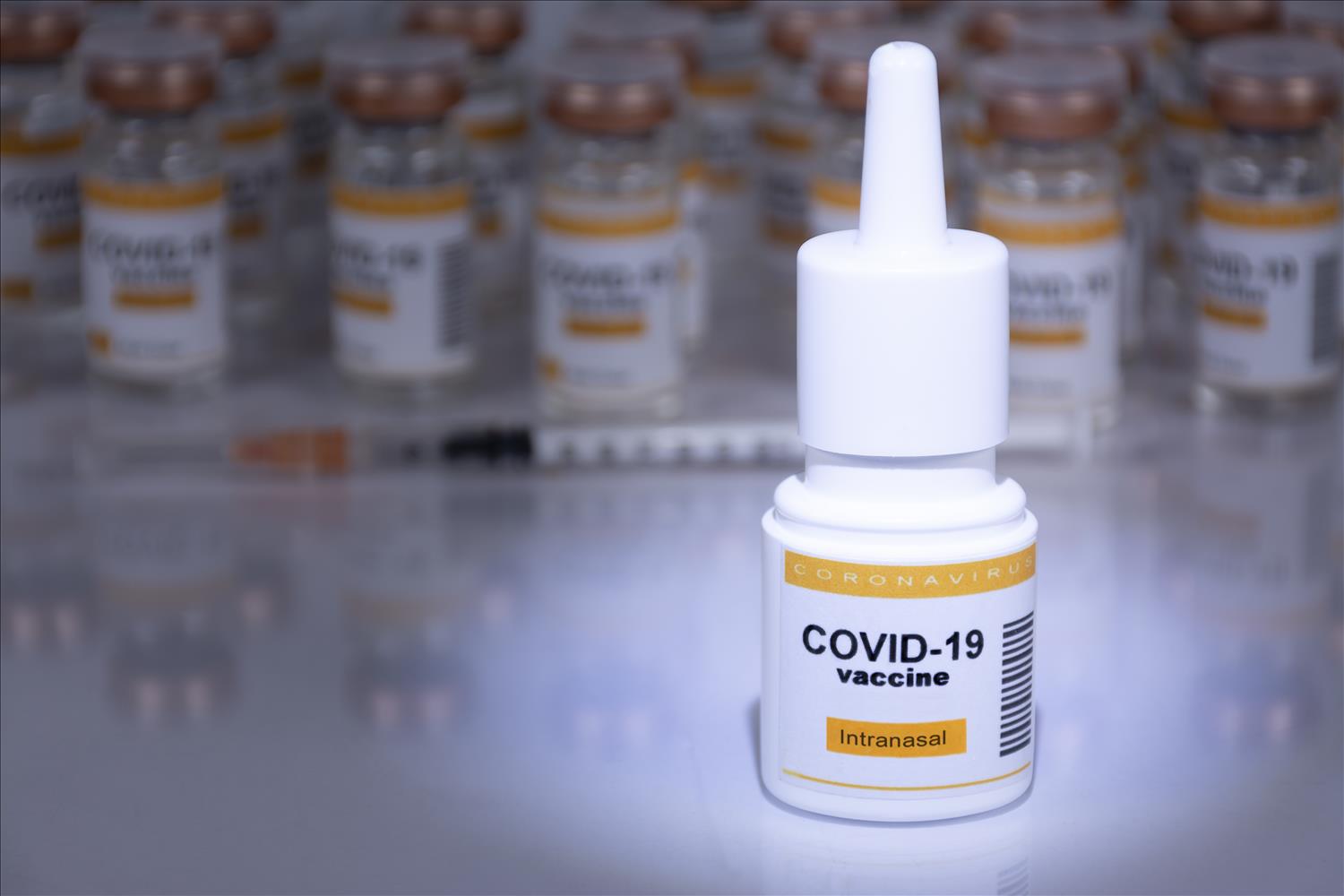 Nasal COVID-19 Vaccines Help The Body Prepare For Infection Right Where It Starts  In Your Nose And Throat