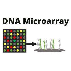 DNA Microarray Market [+How To Increase Sales Strategies] | Size, Share ...