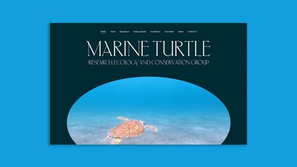 Regular Animal Designs A Marine-Turtle Inspired Website For The Marine Turtle Research, Ecology, And Conservation Group