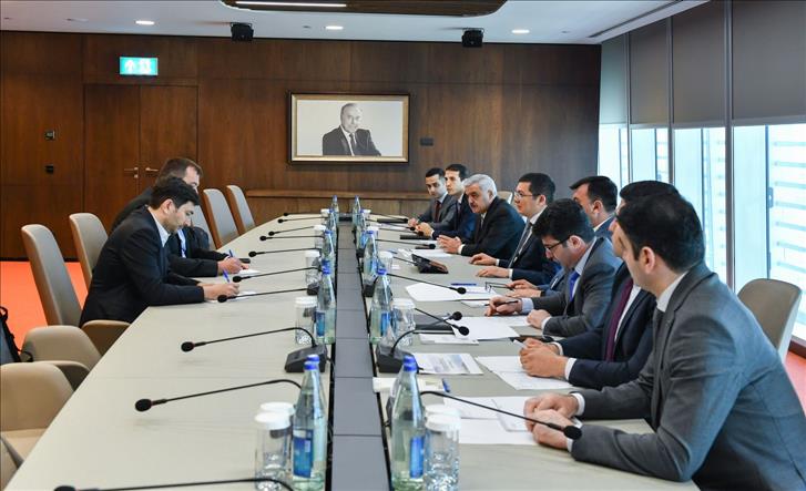 Azerbaijan, Denmark Discuss Cooperation In Production Of Wind Turbines Components