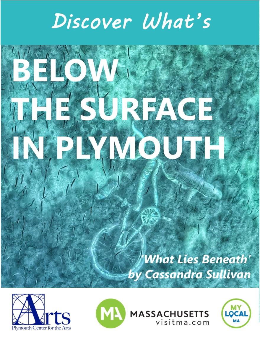 Plymouth Center For The Arts Invites Visitors To Explore Hidden Beauty In Plymouth's Natural Environment