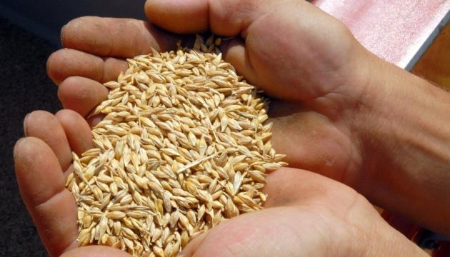 Turkey Says“Difficult” To Determine Origin Of Grain Sold By Russia