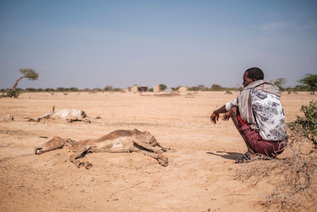 Is Eastern Africa's Drought The Worst In Recent History? And Are Worse Yet To Come?