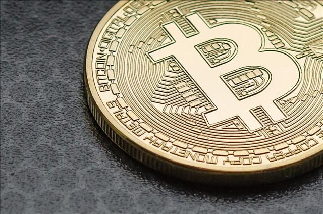 Fortune Does Not Favor The Bitcoin Brave