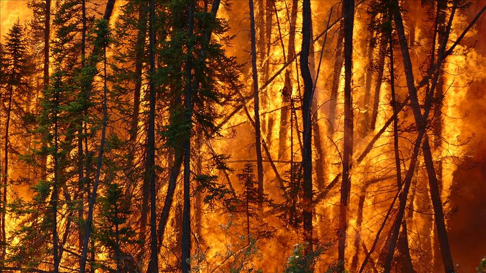 Climate Change: Wildfire Risk Has Grown Nearly Everywhere  But We Can Still Influence Where And How Fires Strike