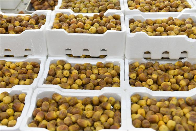 Rutab Dates Season Arrives In Kuwait With Early Varieties Hitting Market