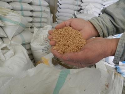  Ukraine Earns 22.2 Bln USD From Grain, Oilseeds Exports In 2021-2022 