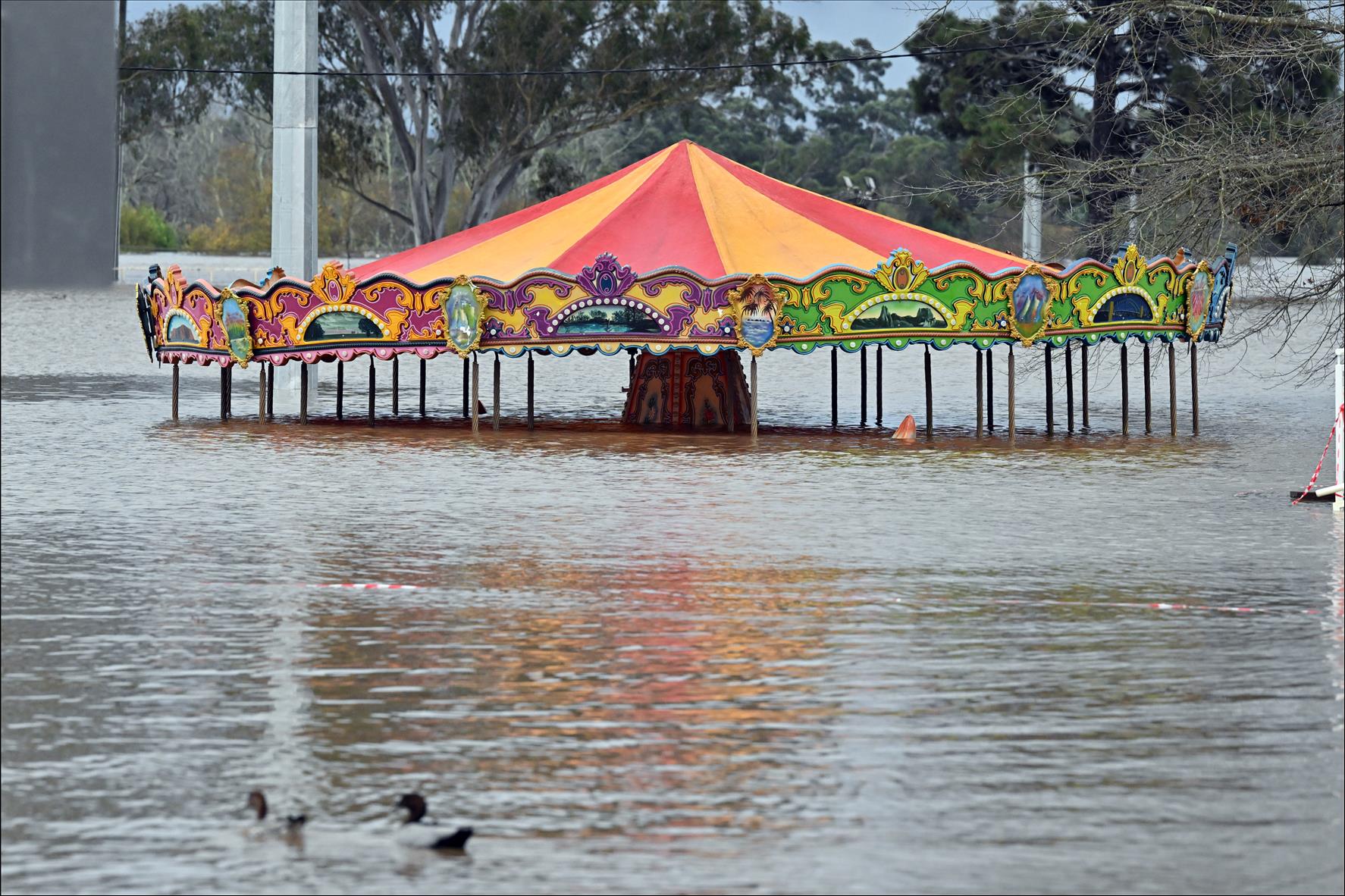 What's Causing Sydney's Monster Flood Crisis  And 3 Ways To Stop It From Happening Again