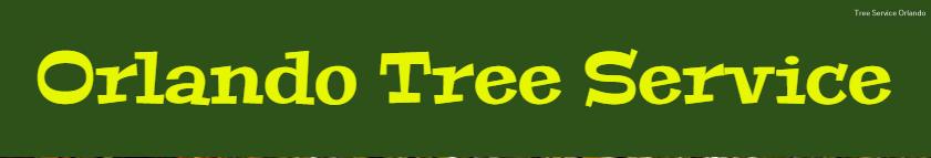 Orlando Tree Service Highlights Their Excellent Tree Services.