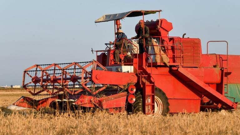 Tunisia struggles to grow more wheat as Ukraine war bites