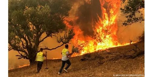 رغم السيطرة على الحرائق في اليونان ...رجال الاطفاء يحذرون من استمرار الخطر