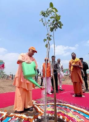  Yogi Launches Mega Tree Plantation Drive In UP 