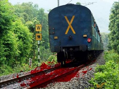  Alert Gateman Prevents Major Rail Mishap In Karnataka 