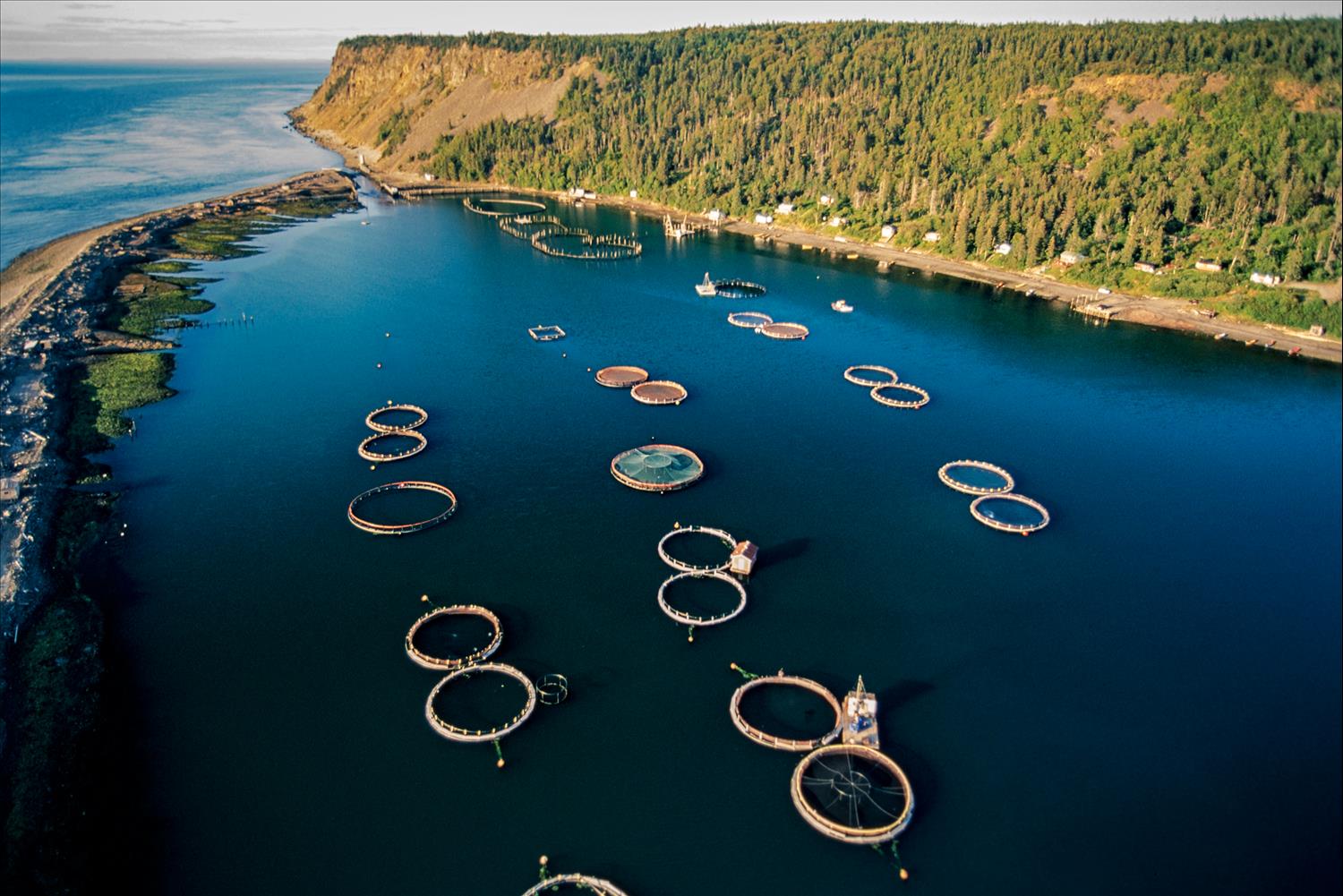 How The Blue Economy Will Shape The Future Of Canada's Oceans — And Its Coastal Communities