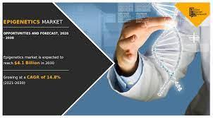 Epigenetic Therapy Market TO Grow At A CAGR Of 14.8% Forecast From 2021 To 2030