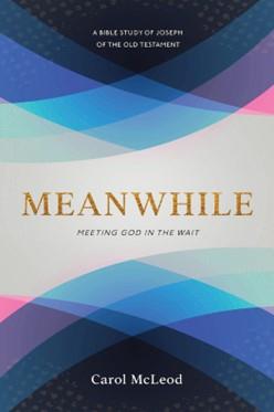 New Book By Carol Mcleod ' MEANWHILE: Meeting God In The Wait ' Available Now