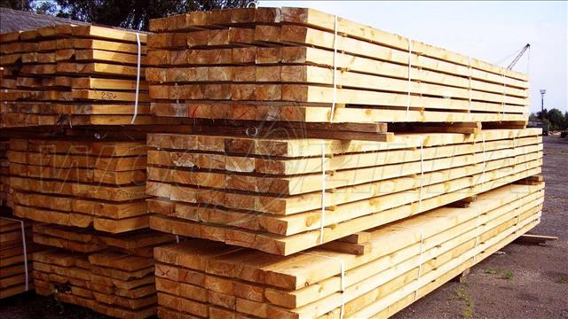 Kyrgyzstan Imposes Temporary Restrictions On Timber Exports