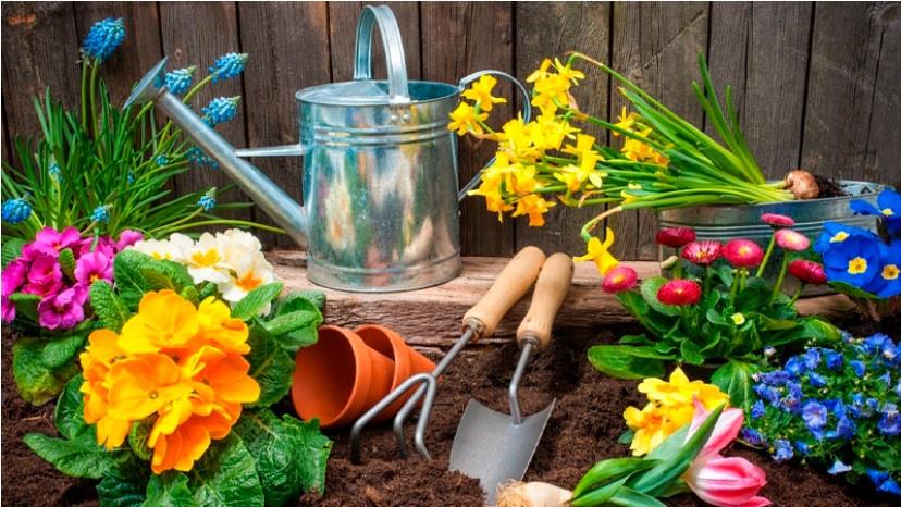Gardening As The Way Of Doing Sports