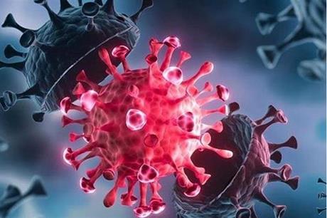 عالم مناعة يكشف خطورة تكرر الإصابة بفيروس كورونا