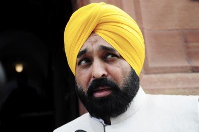  'Attack On States' Authority': Punjab CM Opposes Electricity Amendment Bill 