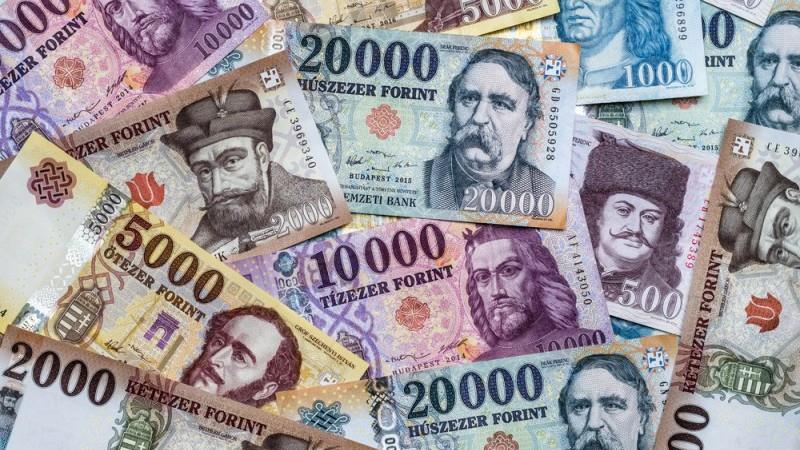 Surprise Hungarian Budget Surplus In July