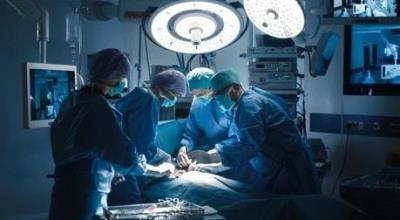  Brain-Dead Gurugram Woman's Organs Save Four Lives 